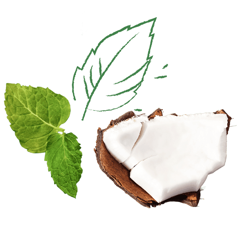 Coconut mint ingredients