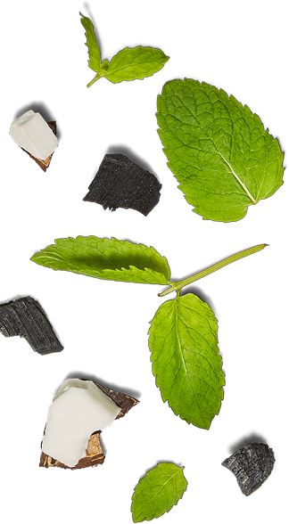 Charcoal and mint leaves
